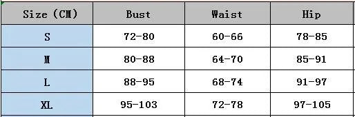 Three-Piece Retro Mesh Bikini Swimsuit