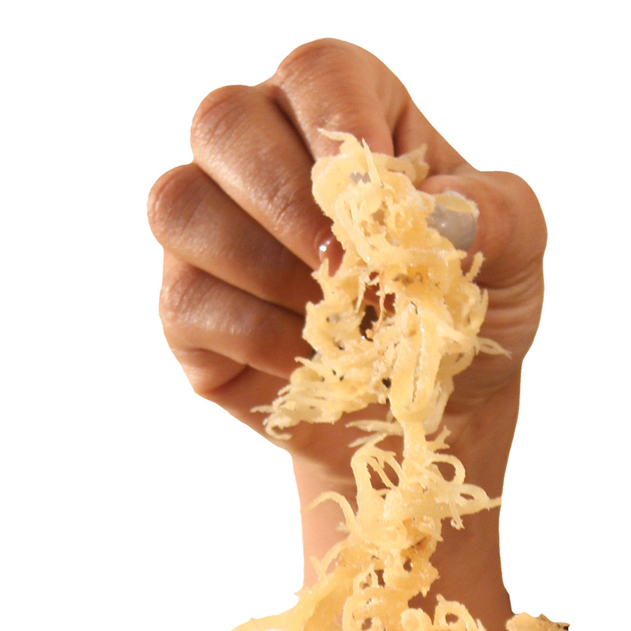 Wildcrafted Salted Sea Moss - 3¼ Lbs.
