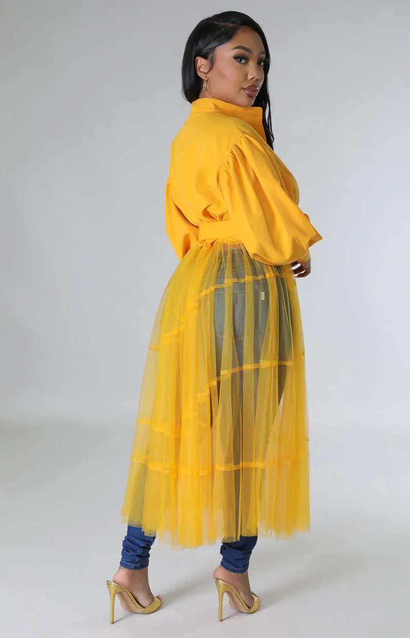 Mesh Patchwork Long Sleeve Long Shirt