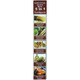Essential Palace: Honey & Moringa Miswak Toothpaste