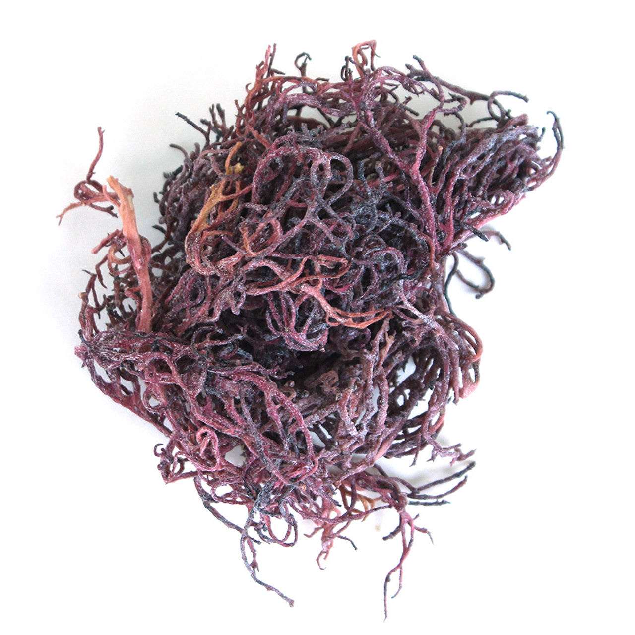 Purple Irish Sea Moss