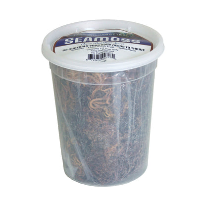 Wildcrafted Purple Sea Moss