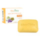 Shea Olein: Shea Butter Soap