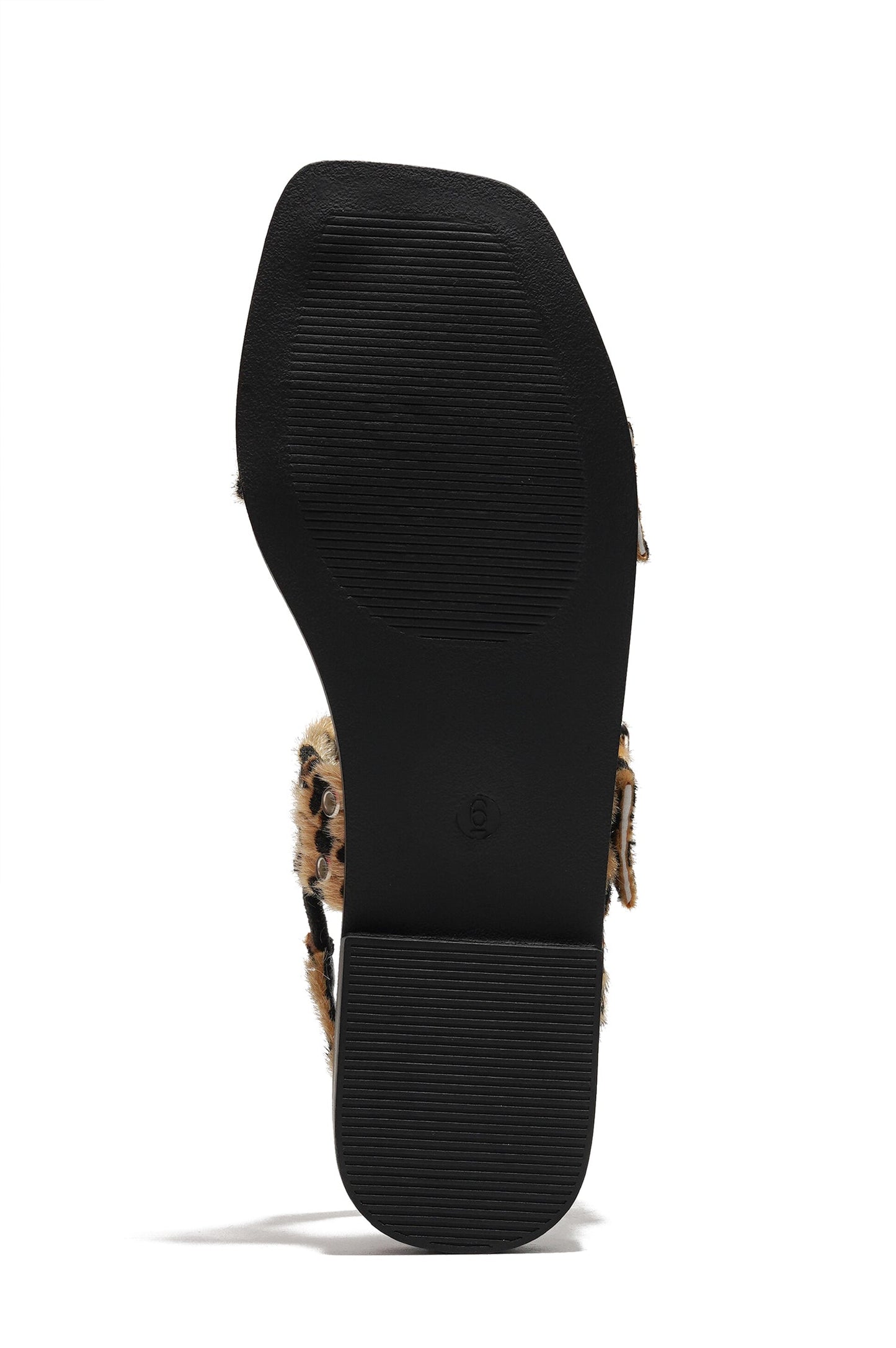 MARA - LEOPARD LEOPARD