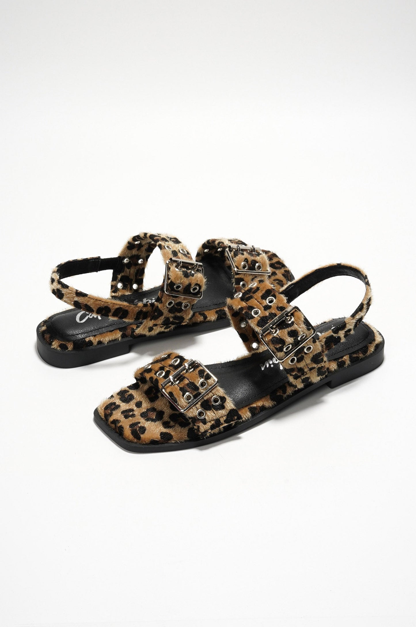 MARA - LEOPARD LEOPARD