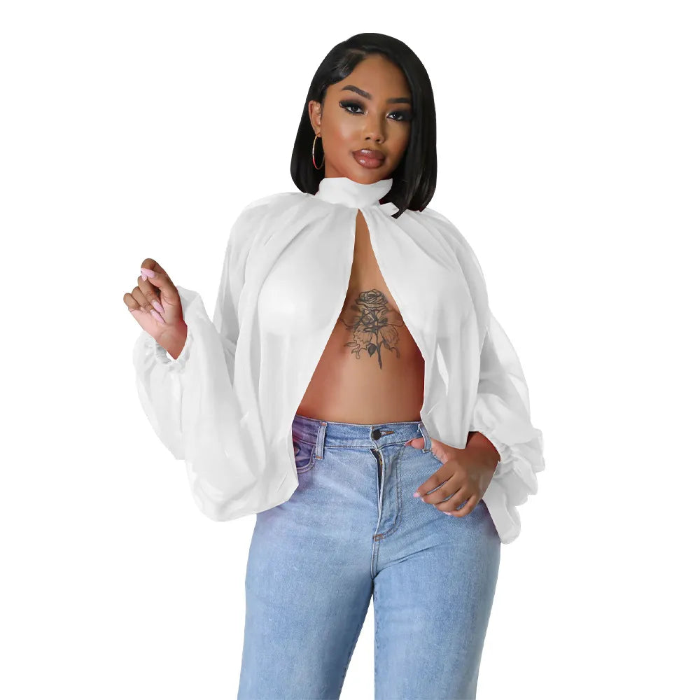 Long Sleeve Chiffon Blouse