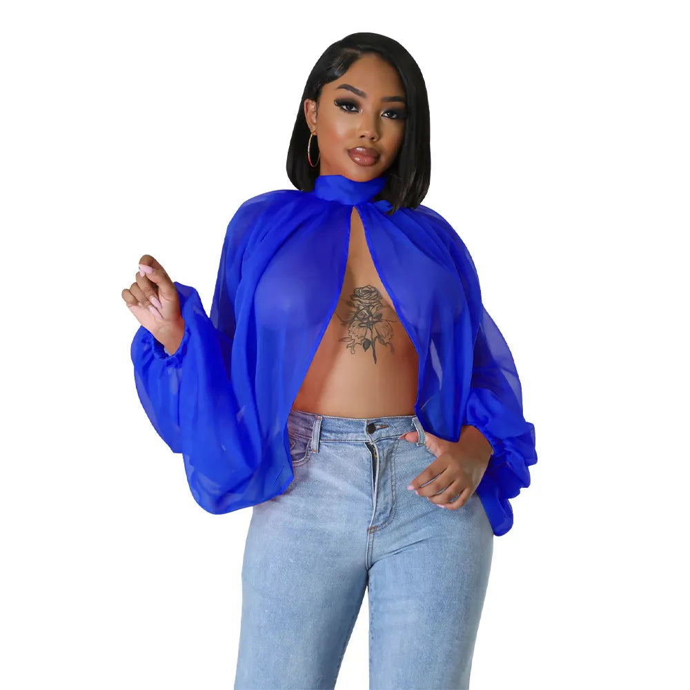Long Sleeve Chiffon Blouse