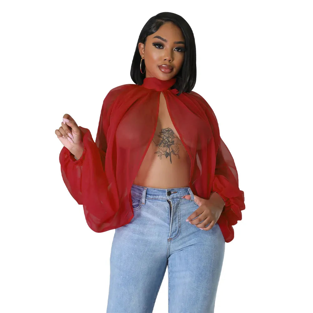 Long Sleeve Chiffon Blouse