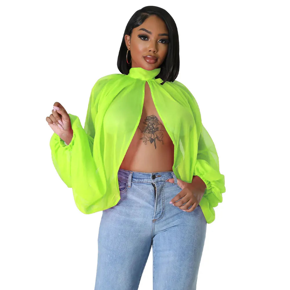 Long Sleeve Chiffon Blouse