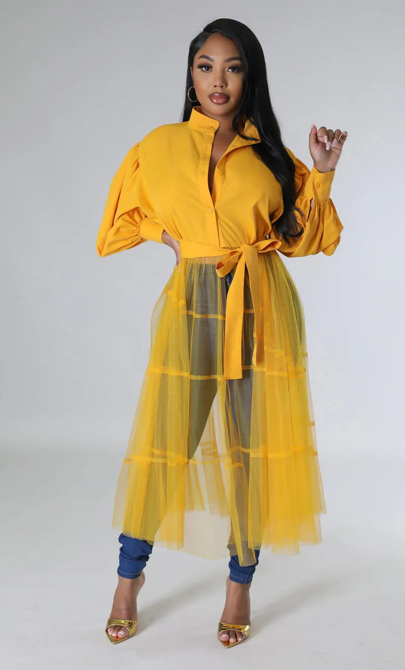 Mesh Patchwork Long Sleeve Long Shirt