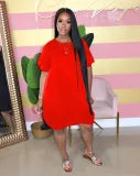 Bubble Sleeve Pullover Lantern Dress
