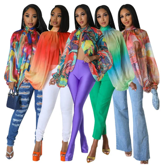 Long Sleeve Chiffon Blouse